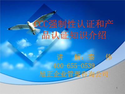 XX企業(yè)管理咨詢公司-CCC強(qiáng)制性認(rèn)證和產(chǎn)品認(rèn)證知識介紹.ppt
